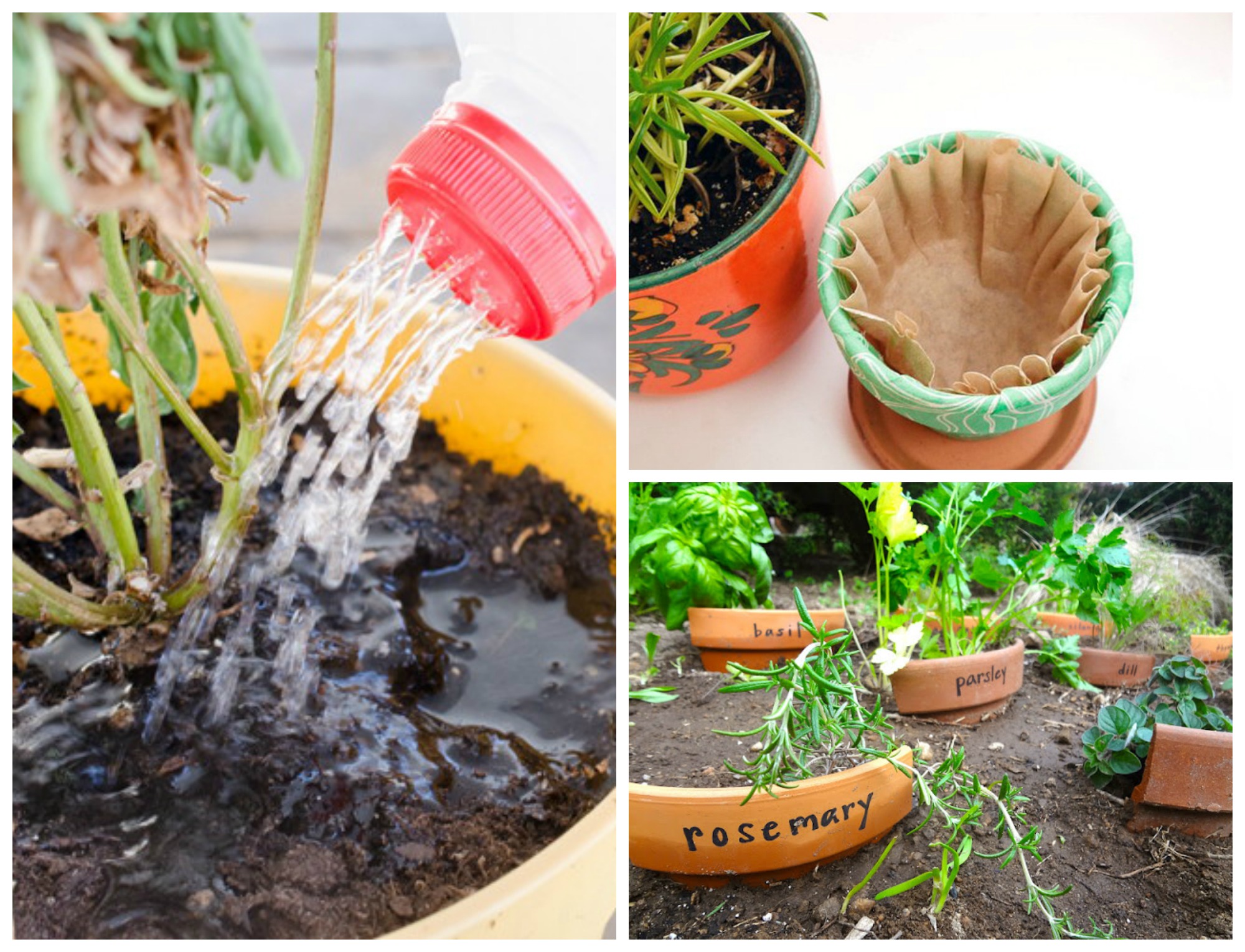 11 Easy Gardening Hacks And Tips You Ll Wish You D Known Sooner