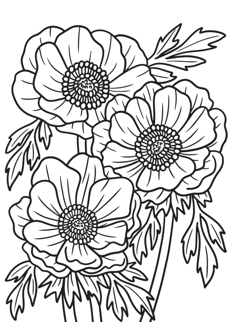 50 Flower Coloring Pages for Kids (+ Adults Too!)